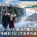 大人旅にぴったり！新潟の観光スポットで非日常を味わうとっておきの過ごし方